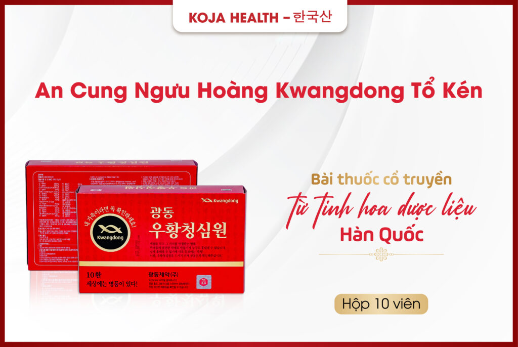An Cung Ngưu Hoàng Kwangdong Tổ Kén 10 Viên