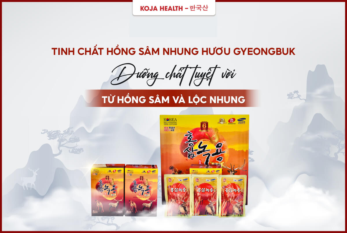 Tinh Chất Hồng Sâm Nhung Hươu Gyeongbuk 30 Gói X 70ml