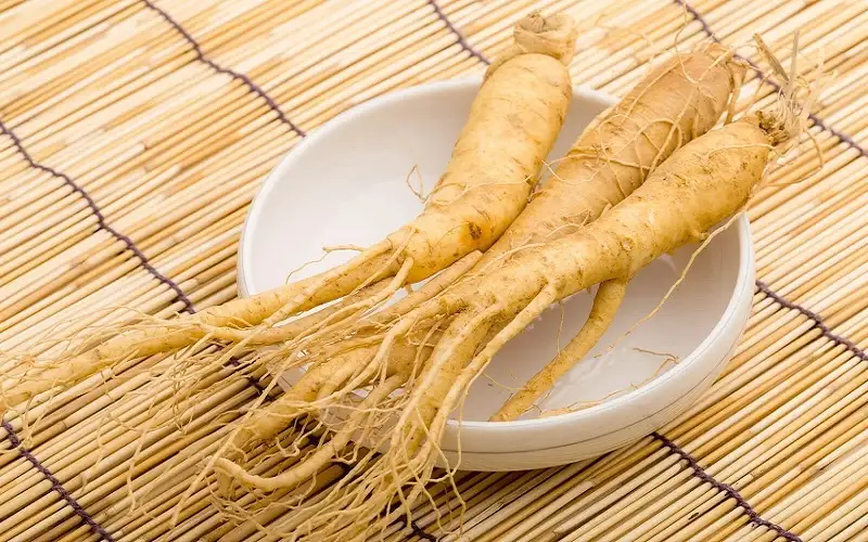 Hãy liên hệ KojiMart tư vấn trước khi sử dụng Nhân sâm Hàn Quốc