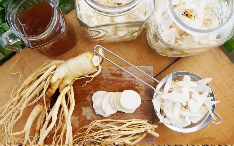 Nhân Sâm Hàn Quốc ngâm mật ong là một trong nhiều cách chế biến