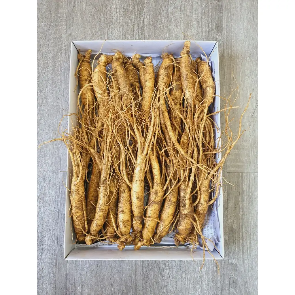 Nhận biết sâm qua màu sắc, hình dáng và mùi thơm