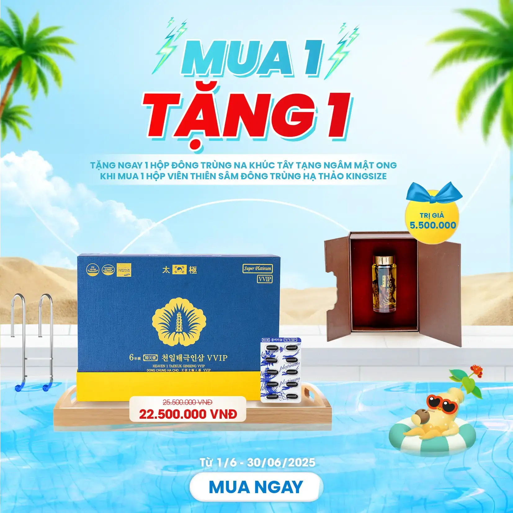 MUA 1 hộp Viên thiên sâm đông trùng hạ thảo Kingsize (900 viên) TẶNG 1 lọ đông trùng ngâm mật ong 5 con – Kingsize 1.4gr