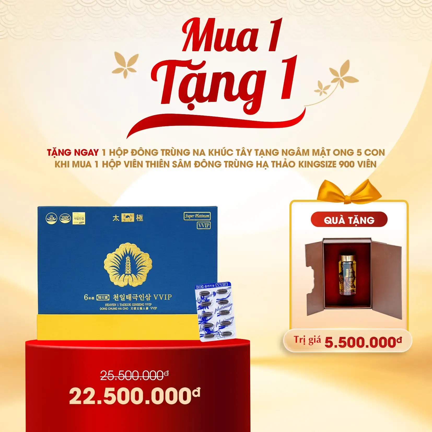 Mua 1 - Tặng 1, mua thiên sâm tặng đông trùng