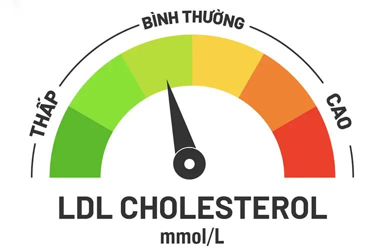 Duy trì chỉ số mỡ máu ổn định